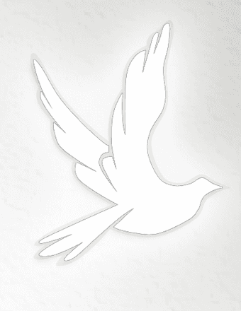 Cadence Johnson Obituary